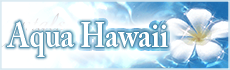 ハワイバケーションレンタルのアクアハワイ